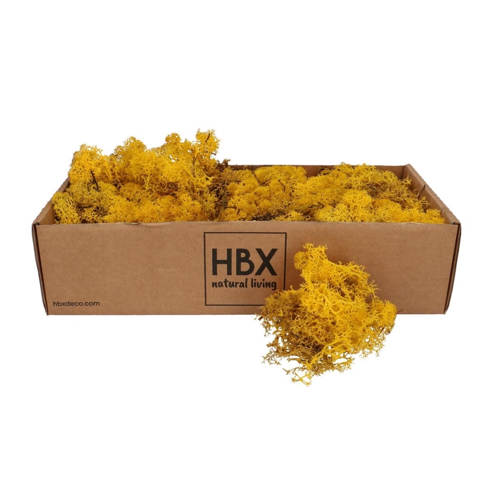 <h4>Preserved Reindeermoss 400-500g</h4>