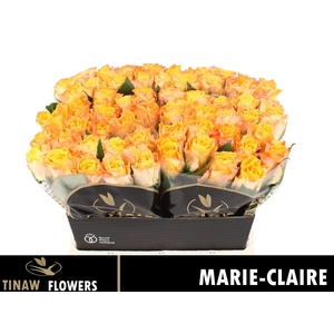 R GR MARIE-CLAIRE!