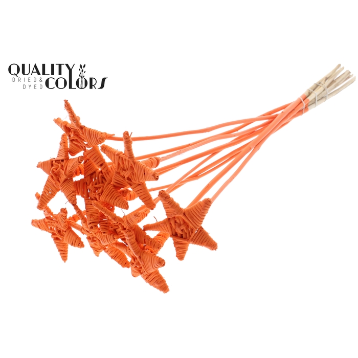 <h4>Lata Star on stem Covered Orange</h4>
