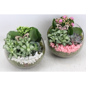 arr2 PL - Glas bol schuin - roze/wit