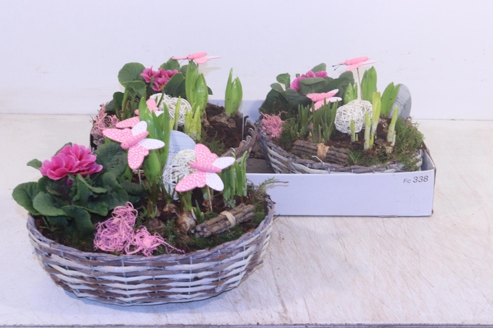 <h4>ARR TUINPLANTEN</h4>