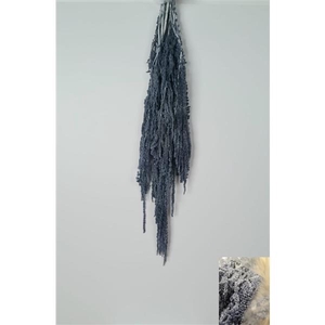GESTABILISEERD AMARANTHUS (H) LAVENDER