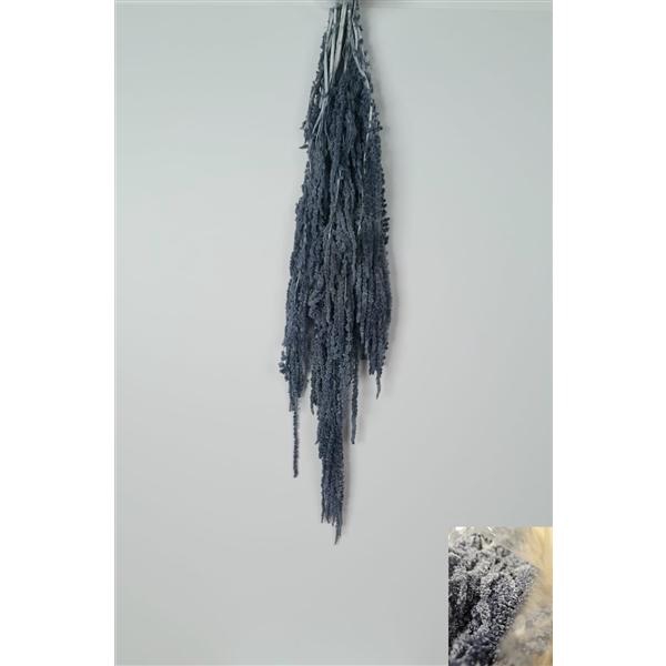 <h4>GESTABILISEERD AMARANTHUS (H) LAVENDER</h4>