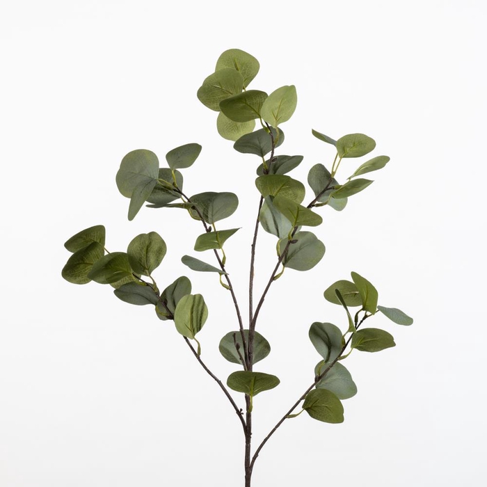 <h4>AF Euca Populus L91cm green</h4>