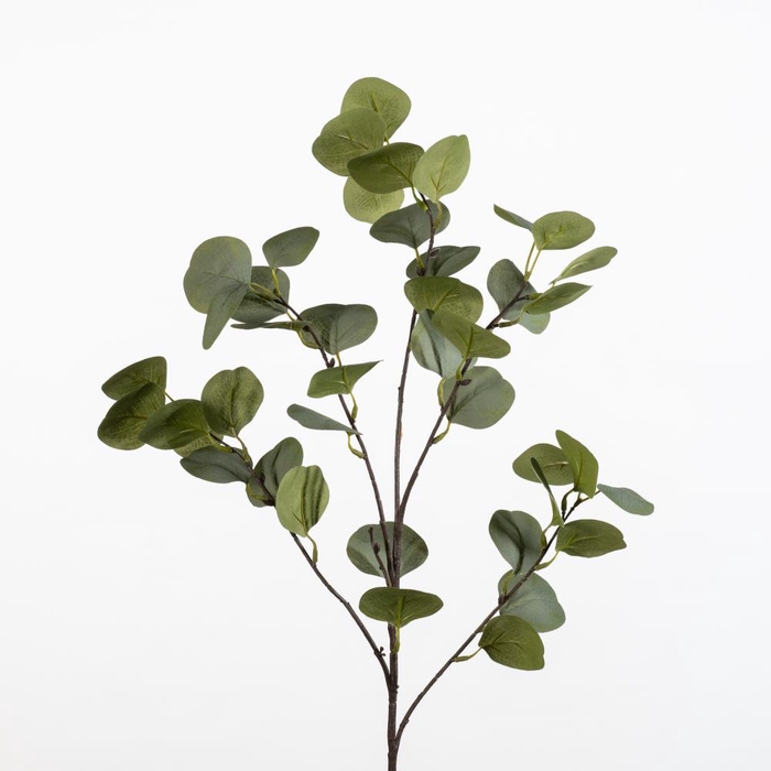 <h4>AF Euca Populus L91cm green</h4>