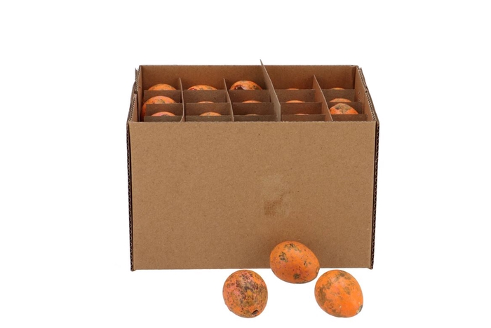 <h4>Eggs Kwartel Orange Per 60 2.5x3.5cm</h4>