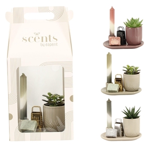 90757: Scents arrangement
