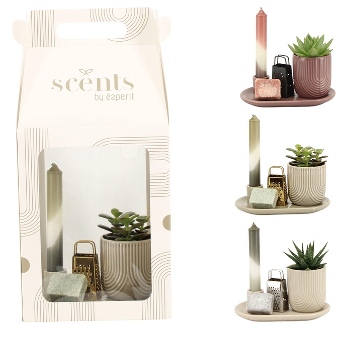 <h4>90757: Scents arrangement</h4>