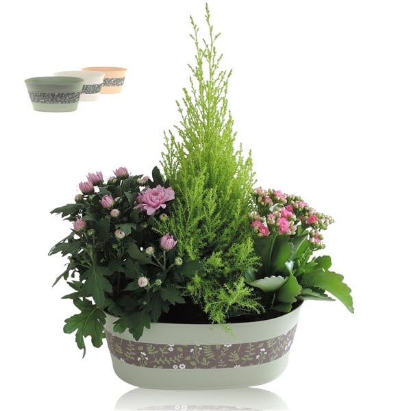 <h4>Collectie Florentina Arrangement in Zinken Schaal 30 cm</h4>