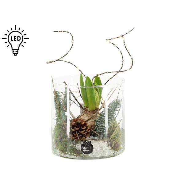 <h4>61695: X-mas arrangement</h4>