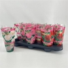 Paeonia gemengd
