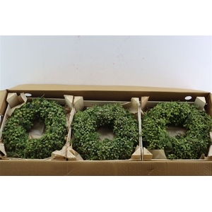 Wr Sierfruit Juniperus 30cm Green