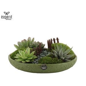 90763: Landscape arrangement