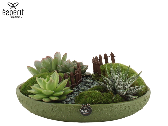 <h4>90763: Landscape arrangement</h4>