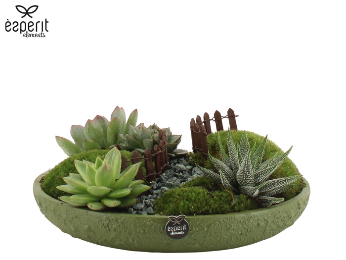 <h4>90763: Landscape arrangement</h4>