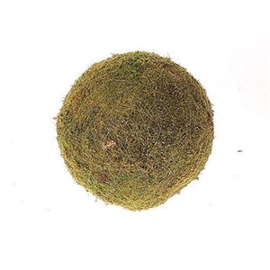 Deco Ball Flat Moss D50