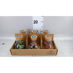 Arr.    Planten  L%