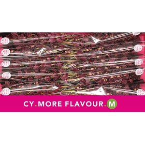 Mini cymbidium 'Madelon' 60 cm