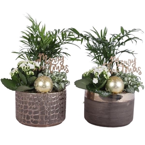 Christmas Arr. Indoor Ceramic Pure Luxury N568 Ø17cm 3PP