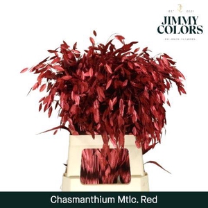 Chasmanthium L70 Metallic Red