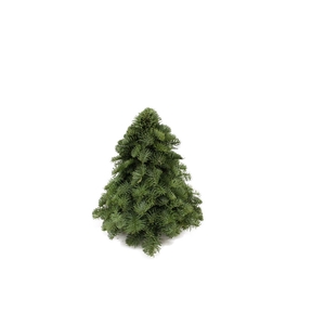 Kerstboom Nobilis 30cm