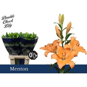 LI LA MENTON