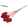 Atta Fruit on stem Intense Coral