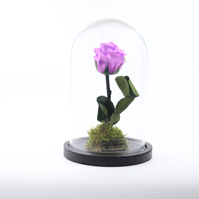 Stolp d12x20h br.lilac stand. glas