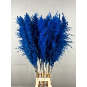 DF Pampas 130cm Dark Blue