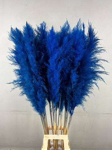 DF Pampas 130cm Dark Blue