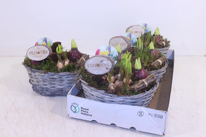 <h4>ARR BOL KNOLGEWAS</h4>