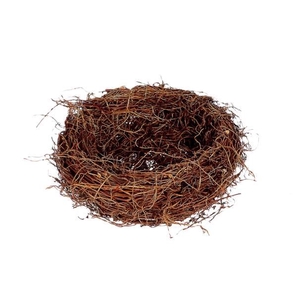 Basket Fern Root H10D30