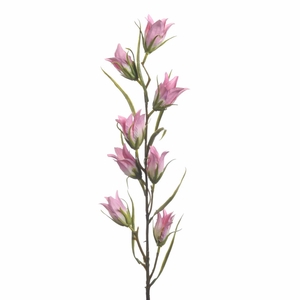 Af Campanula L94cm Pink