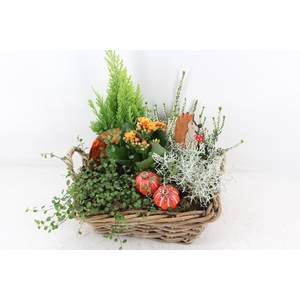 arr4 Outdoor VL - Kubu mand 4kant XL