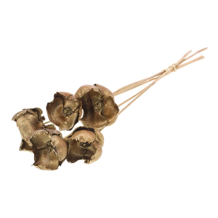 <h4>Palmcup O/s 10pc N Gold T</h4>