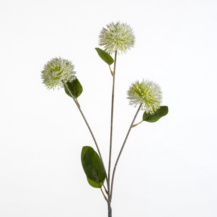 <h4>AF Allium x3 L82cm white</h4>