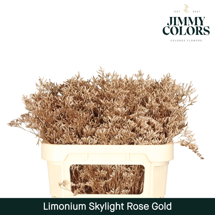 <h4>Limonium Skylight L70 Rose gold</h4>