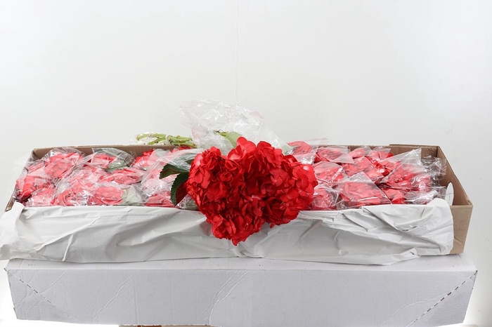 <h4>Hydr Dark Red Tinted Select Box</h4>