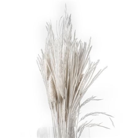 <h4>Andes Grass White Bleached</h4>