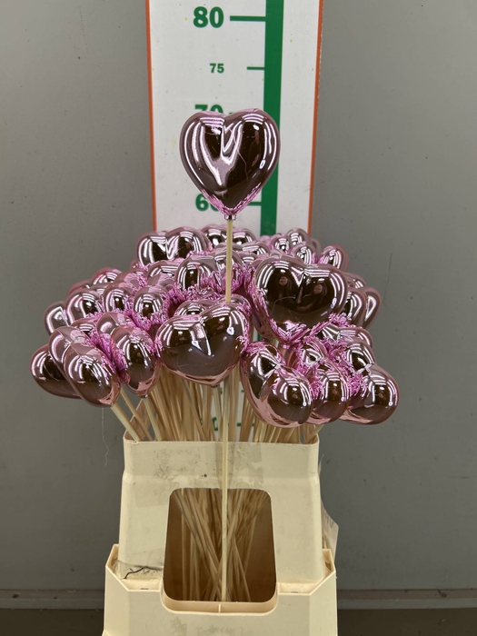 <h4>HART METALLIC ROSE 7 CM</h4>