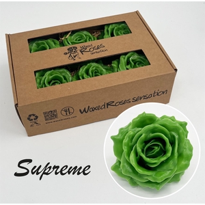 R Zijde Supreme Groen Wx