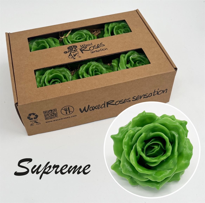 <h4>R Zijde Supreme Groen Wx</h4>