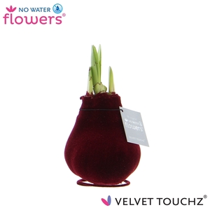 No Water Flowers Velvet Touchz® Bordeaux