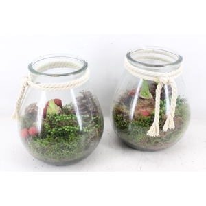 arr4 Amaryllis JS - Vaas bolbuik touw wit