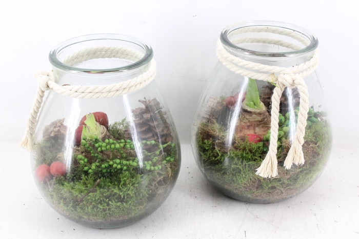 <h4>arr4 Amaryllis JS - Vaas bolbuik touw wit</h4>