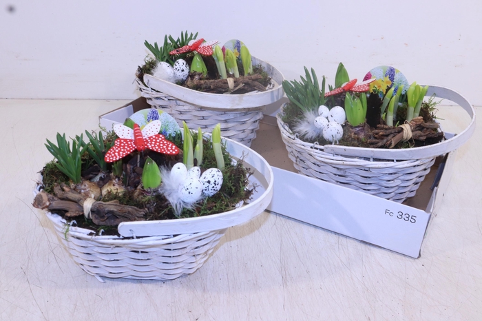 <h4>ARR BOL KNOLGEWAS</h4>