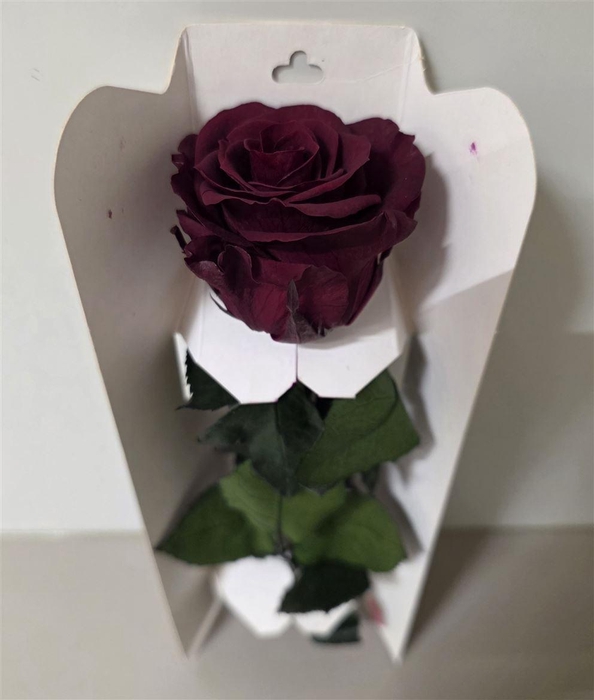 <h4>Ro Pres Stem 30cm Red</h4>