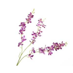 Dendrobium Orchid Purple FL440047PRP