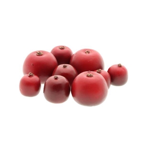 Apple Malus 3 Size 9Pcs