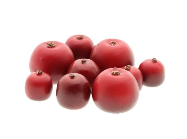 Apple Malus 3 Size 9Pcs